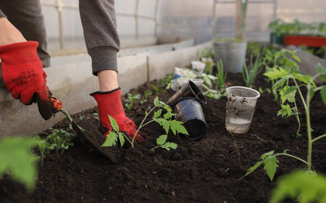 How To Keep Your Garden Going Past Summer