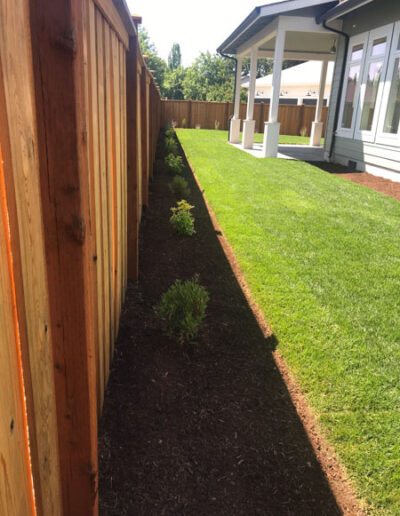 Irrigation Installation, Mulch, & Plantings