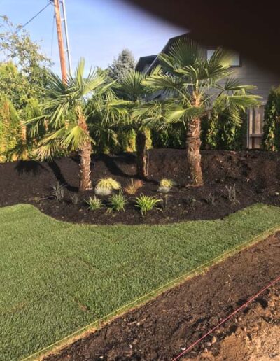 Irrigation Installation, Mulch, & Plantings