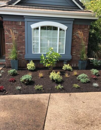 Plantings & Mulch