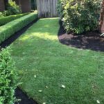 Reseeding & Mulch