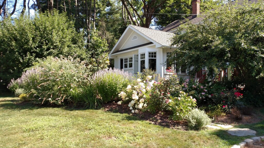 Front yard